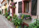 Eguisheim gite alsace